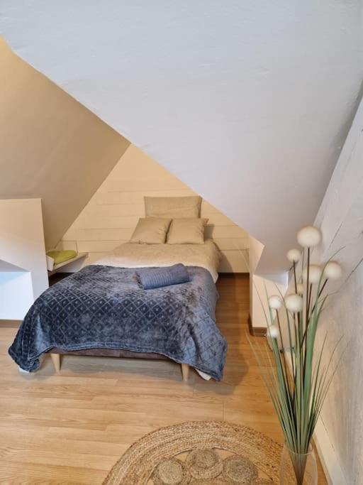 Le Petit Loft, Mulhouse Centre 아파트 외부 사진